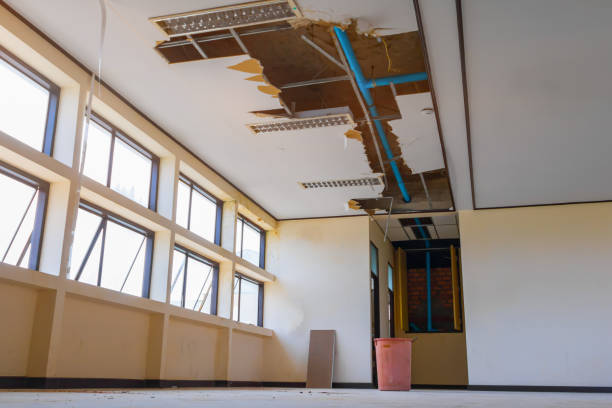 Best Water damage restoration company  in Alturas, FL