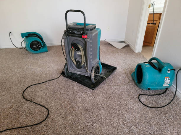 Best 24/7 water damage repair  in Alturas, FL