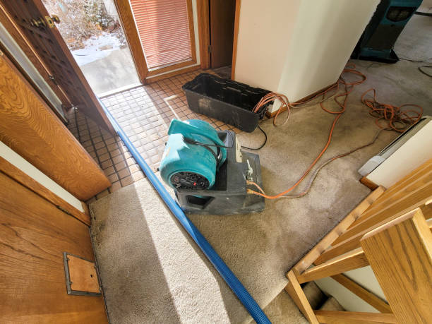 Best Water damage restoration near me  in Alturas, FL