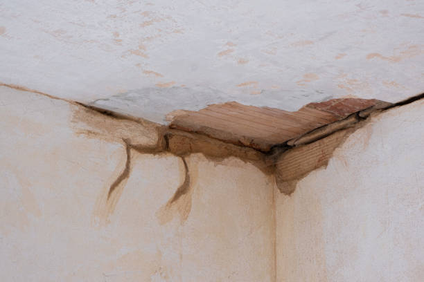  Alturas, FL Water damage restoration Pros
