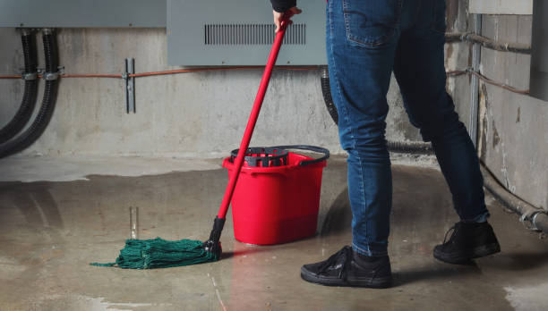 Best Local water damage restoration  in Alturas, FL