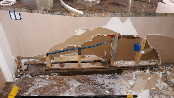 Best Flood restoration services  in Alturas, FL