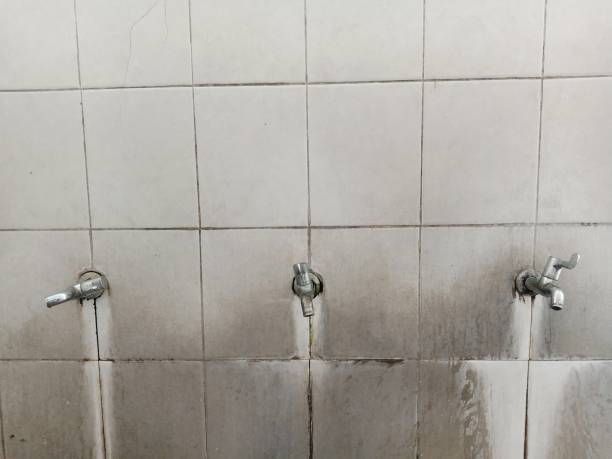 Best Ceiling water damage repair  in Alturas, FL