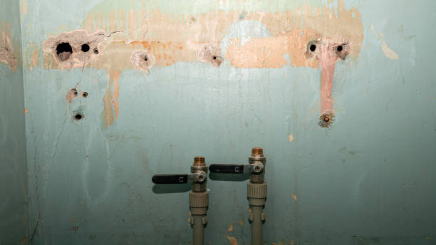 Best Water damage contractors near me  in Alturas, FL
