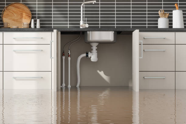 Best Residential water damage restoration  in Alturas, FL